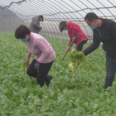 今天北京疫情新规入京规定-今天北京疫情新规入京规定最新 今天北京疫情新规入京规定-今天北京疫情新规入京规定最新