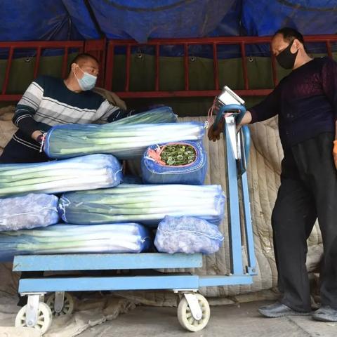 今天北京疫情新规入京规定-今天北京疫情新规入京规定最新 今天北京疫情新规入京规定-今天北京疫情新规入京规定最新